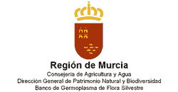 Consejería de Turismo, Cultura y Medio Ambiente (Región de Murcia), Spain
