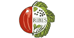 RIBES network