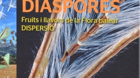 Thumb diaspores front cover